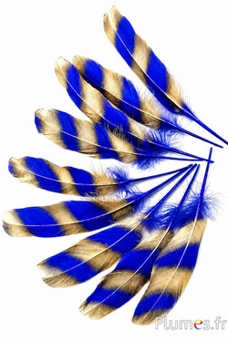 Gans - 15-21 cm - blauw-goud